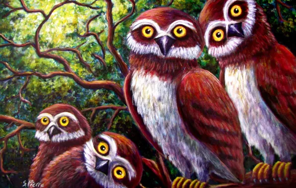 Picture forest, birds, tree, branch, art, owls