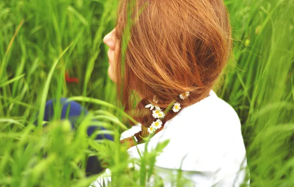 Girl, flowers, chamomile, red
