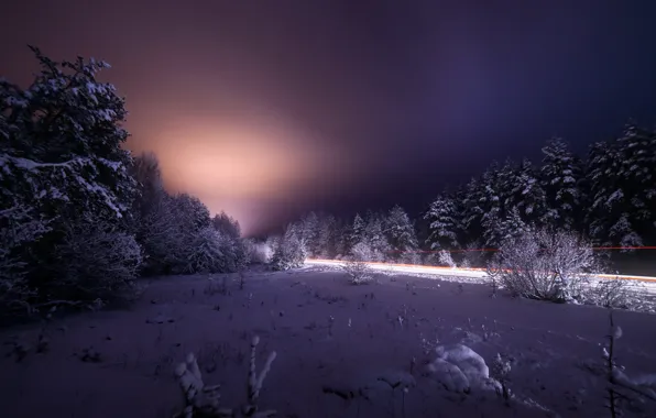 Winter, the sky, snow, trees, night, korostyshev, photographer Chorny Alexander