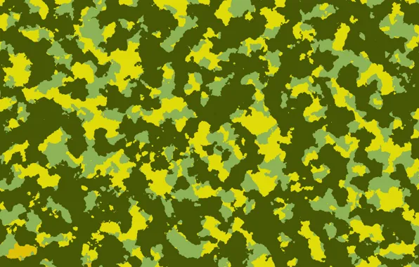 Weapons, color, painting, Camouflage