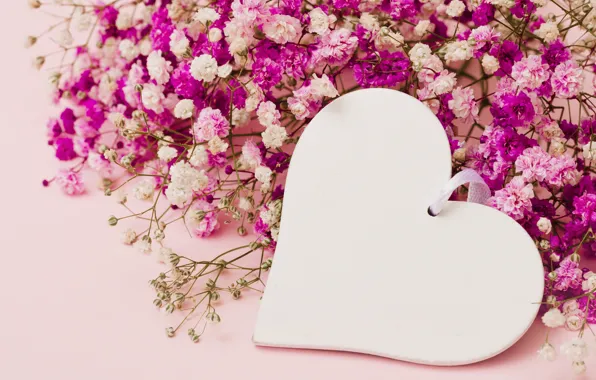 Picture love, flowers, background, pink, heart, love, heart, pink
