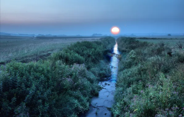 Field, the sun, sunset, blue, stream, dawn, shore, dal