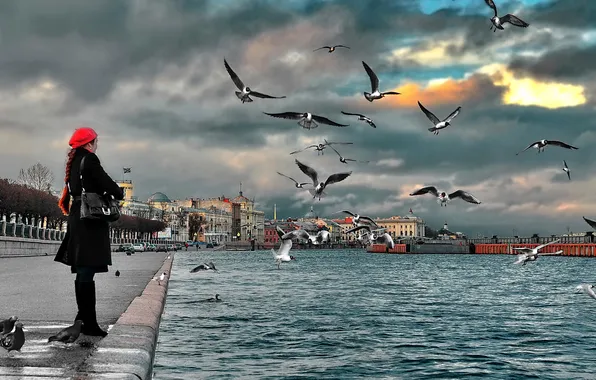 Picture seagulls, Saint Petersburg, Neva