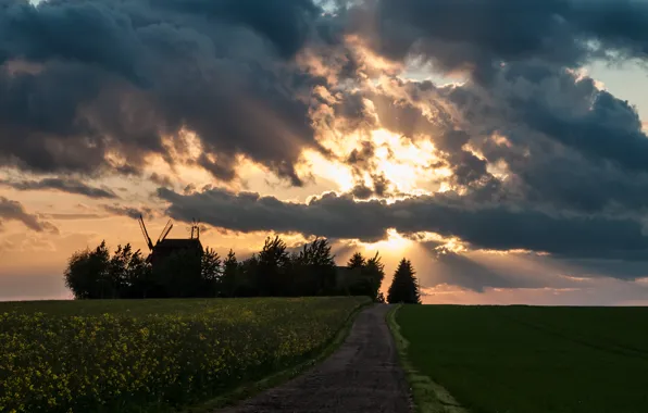 Picture road, field, the sky, the sun, clouds, rays, mill, rape