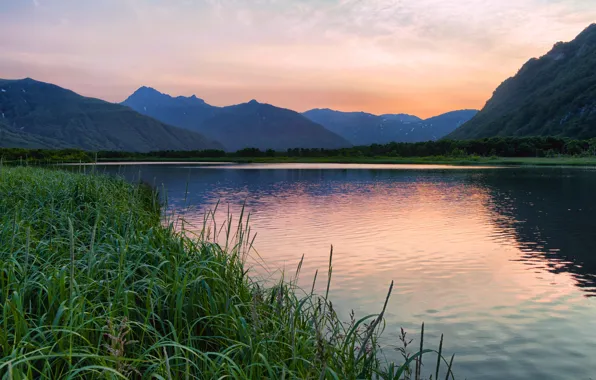 Forest, trees, sunset, mountains, river, the evening, reed, Russia