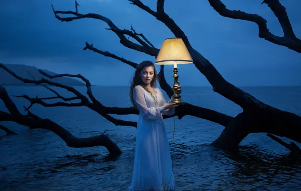 Picture sea, girl, lamp, the situation, dress, snag