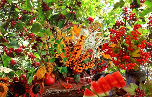 Watermelon, still life, Kalina, sea buckthorn