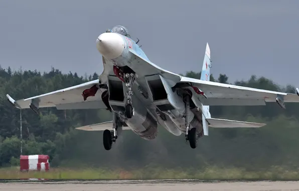Picture Flanker, Sukhoi, Su-27SM