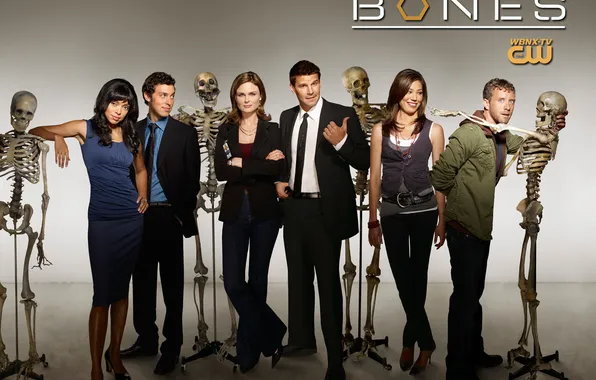 Bones, the series, bones