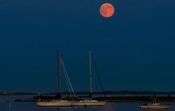 Picture the sky, night, boat, Bay, yacht, The moon