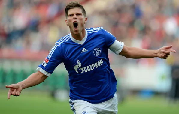 Football, sport, player, Football, Schalke 04, striker, Sport, Netherlands