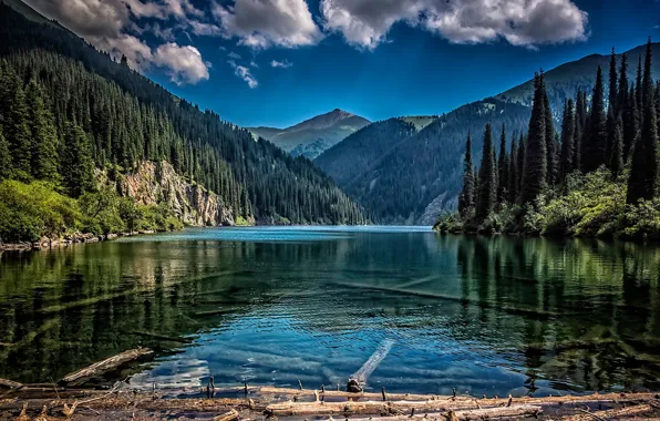 Forest, mountains, lake, Kazakhstan, Kolsay Lake, Kazakhstan, Tien Shan, Middle Kolsai Lake