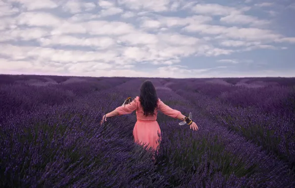 Field, girl, lavender, bees, Lichon