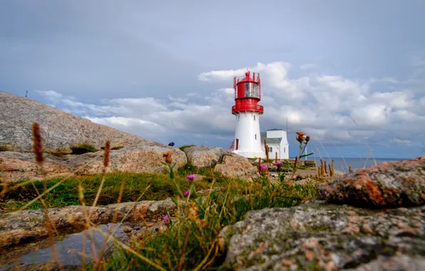 Coast, lighthouse, Norway, Norway, Have Lindesnes, Lindesnes