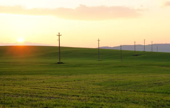 Field, morning, power lines
