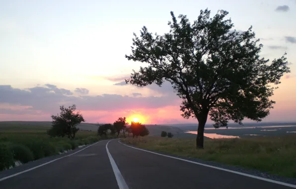 Picture road, field, landscape, nature, the evening