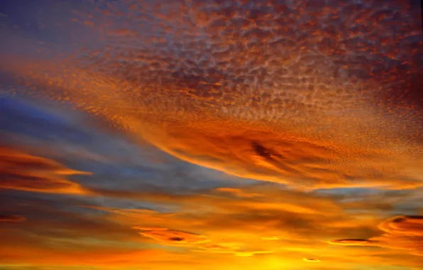 The sky, clouds, landscape, landscapes, Sunset, beauty, cloud, beautiful
