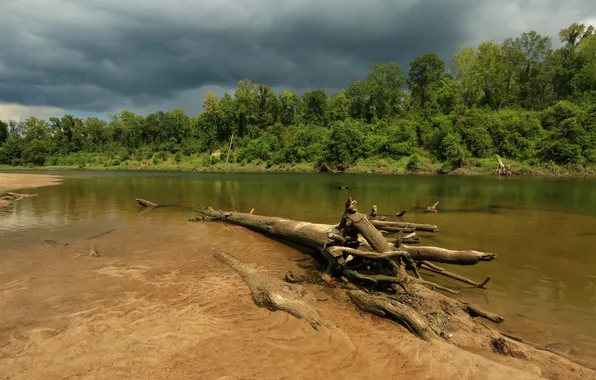 Sand, greens, forest, trees, clouds, river, shore, USA
