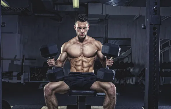 Muscle, muscle, press, pose, dumbbells, gym, bodybuilder, abs