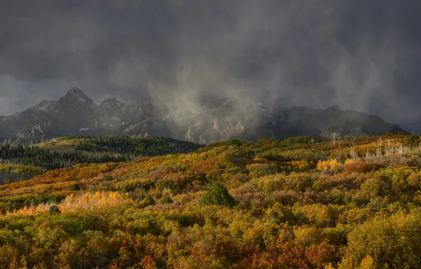 Autumn, forest, the sky, mountains, fog, tops, view, dal