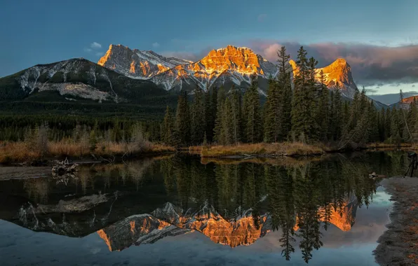 Forest, mountains, reflection, river, Canada, Albert, Alberta, Canada