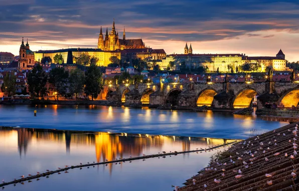 Night, bridge, lights, river, Prague, Czech Republic, Cathedral