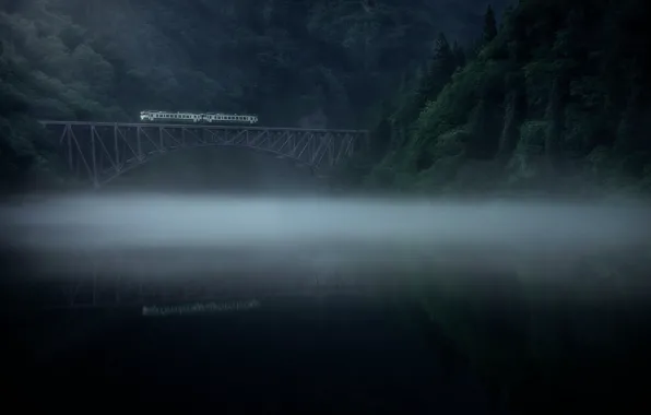 Forest, fog, river, train, morning