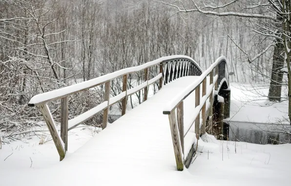 Trees, bridge, Park, winter, snow, winter landscape
