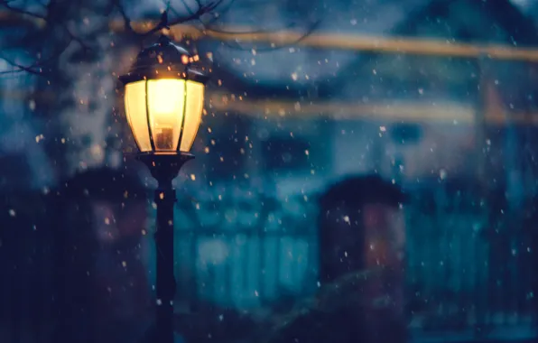 Picture winter, light, snow, trees, night, the fence, home, lighting