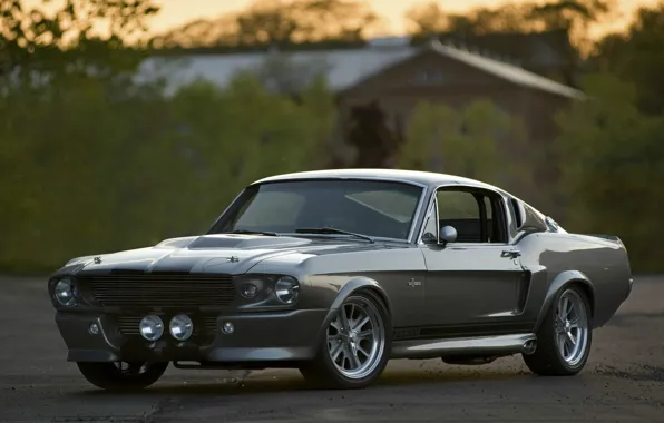 Gt 500, Ford, eleanor, ford shelby
