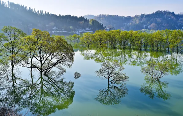 Picture trees, lake, reflection, Japan, Japan, Yamagata, Yamagata, Iide