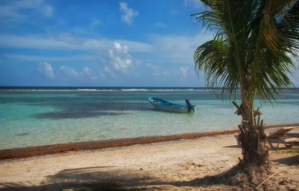 Sea, beach, tropics, Palma, shore, boat
