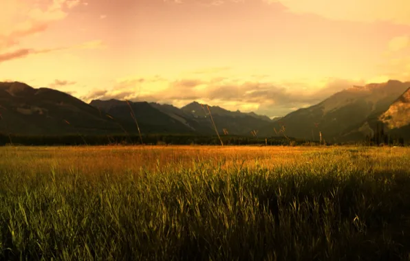 Field, mountains, sunrise