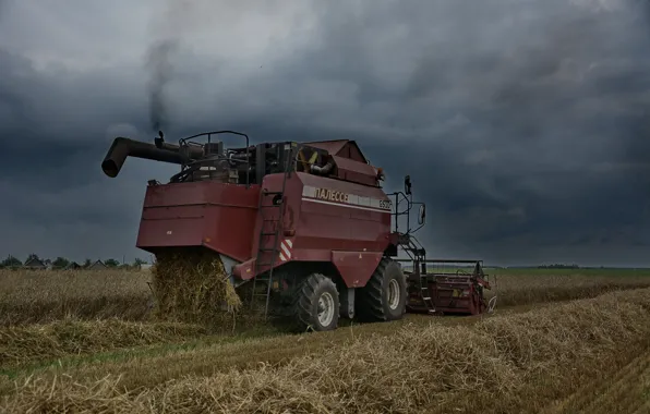 Nature, work, smoke, harvester, harvesting