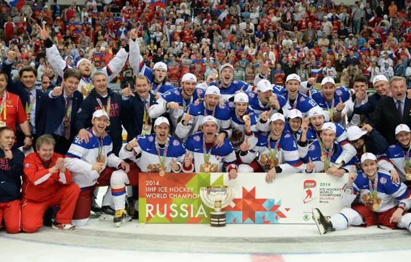 Joy, gold, victory, hockey, Russia, Russian, fans, Cup