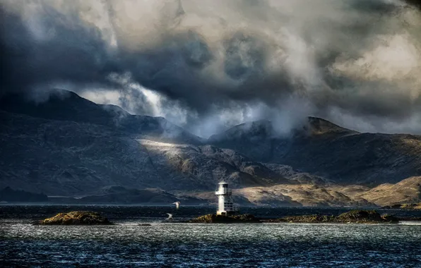Picture sea, mountains, clouds, overcast, bird, coast, lighthouse, Scotland