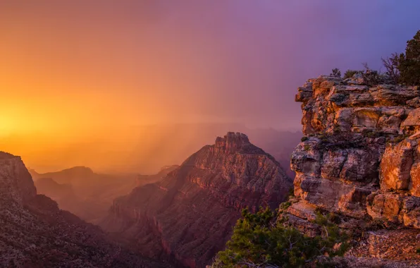 The sun, fog, stones, rocks, dawn, height, canyon, panorama