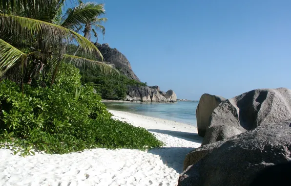 Sand, sea, cane, tropical beach, stones