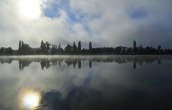 Forest, the sun, trees, nature, fog, lake, surface, river