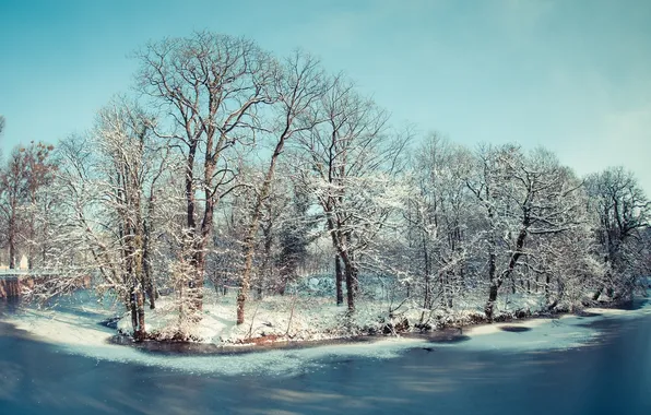 Picture winter, trees, river