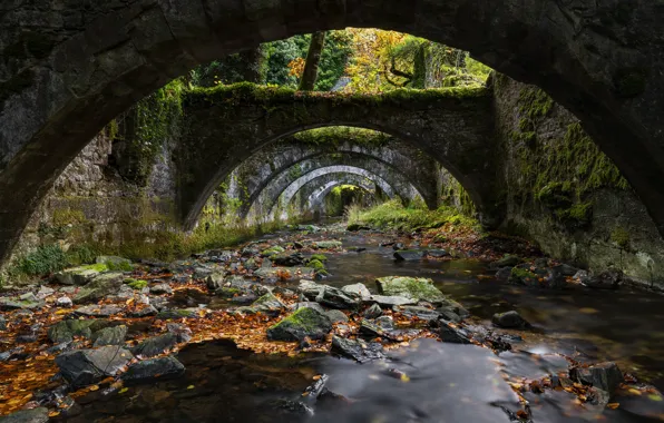 Autumn, forest, bridge, stream, stones, foliage, channel, arch