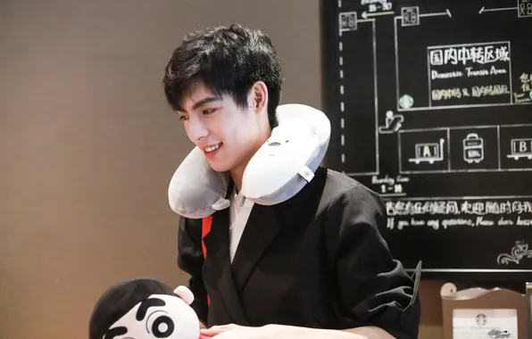 Toy, pillow, guy, actor, plush, chinese actor, Wang Hao Xuan, Wang Hao Xuan