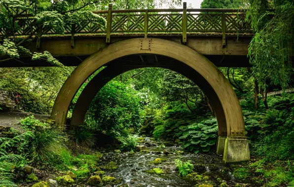 Picture greens, grass, trees, bridge, Park, stream, stones, moss