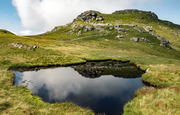 Picture water, reflection, green grass, hill, water, hill, reflection, green grass