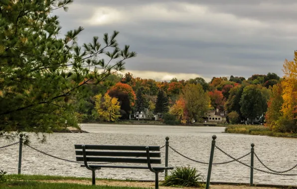 Picture The sky, The city, Autumn, Trees, River, Bench, Fall, Autumn