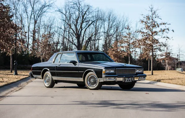 Picture coupe, Chevrolet, Chevrolet, Classic, Coupe, Caprice, 1987, Caprice