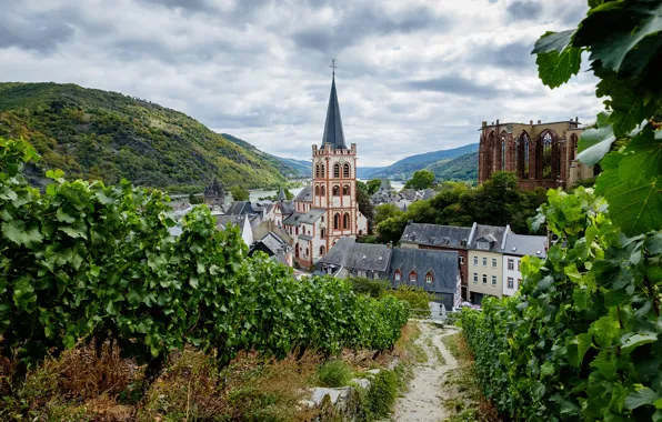 Mountains, nature, hills, Germany, Church, vineyard