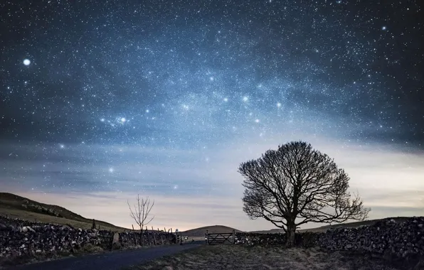 Night, tree, the fence, England, stars, gate, North Yorkshire, Of Malham
