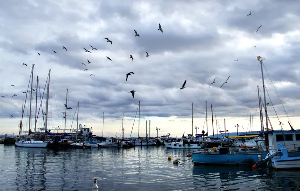 Picture sea, the sky, clouds, birds, Port, sky, sea, clouds