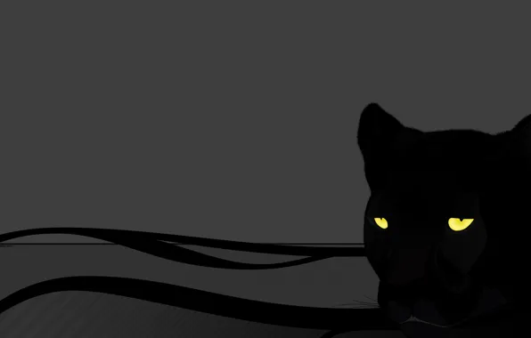 Cat, eyes, grey, Panther